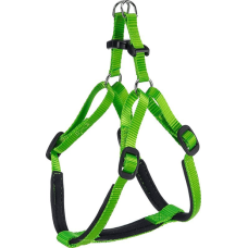 DAYTONA P MEDIUM VERDE PETT.