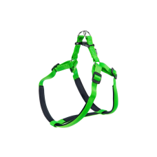 DAYTONA P LARGE VERDE PETT.