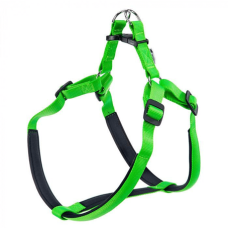 DAYTONA P EX.LARGE VERDE PETT.