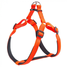 DAYTONA P EX.LARG.ARANCIO PETT