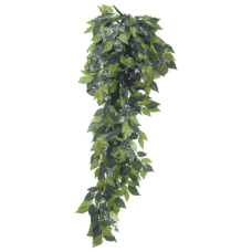FICUS PLANT 80 рослина декоративна