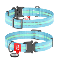 COLLAR Нашийник WAUDOG Nylon світлонакопичувальний (ширина 25 мм, довжина 35-58 см), блакитний