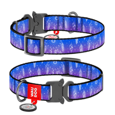 COLLAR Нашийник WAUDOG Nylon Ловець снів металева пряжка фастекс (ширина 25 мм, довжина 31-49 см)