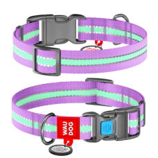 COLLAR Нашийник WAUDOG Nylon світлонакопичувальний (ширина 25 мм, довжина 31-49 см), фіолетовий