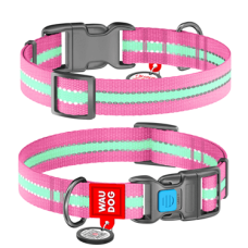 COLLAR Нашийник WAUDOG Nylon світлонакопичувальний (ширина 20 мм, довжина 24-40 см), рожевий
