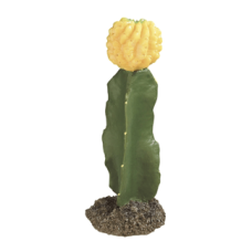DESERT PLANT 1 Рослина декоративна