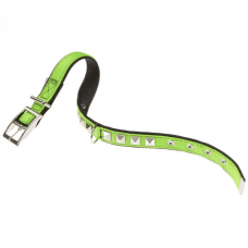 DUAL CF20/43COLLAR GREEN-BLACK