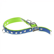 DUAL CF25/45 COLLAR BLUE-GREEN