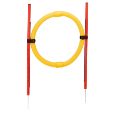 PA 6862 CIRCLE Комплект для тренування собак