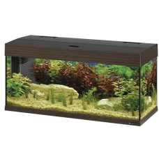DUBAI 80 MAHOGANY - 125 L Стеклянный аквариум с лампой, внутренним фильтром и таймером