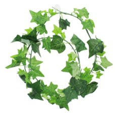 Рослина Repti-Zoo Hedera TP009