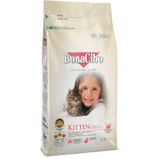 BonaCibo Kitten