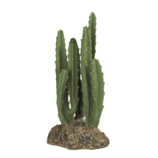 DESERT PLANT 5 Рослина декоративна