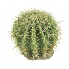 DESERT PLANT 9 Рослина декоративна