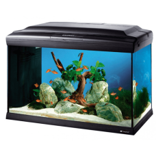 CAYMAN 60 PROFESSIONAL Стеклянный аквариум с лампой