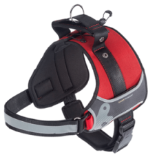 HERCULES LARGE HARNESS RED