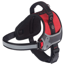 HERCULES SMALL HARNESS RED