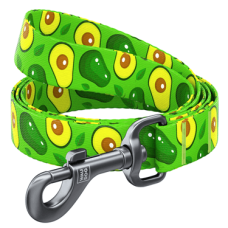 COLLAR Повідець WAUDOG Nylon Авокадо (ширина 20 мм, довжина 122 см)