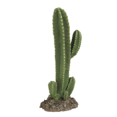 DESERT PLANT 3 Рослина декоративна