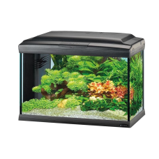 CAYMAN 60 LED PROFESSIONAL BLACK