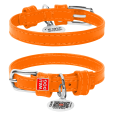 Collar Ошейник WAUDOG Glamour без украшений