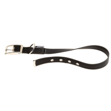 EVOLUTION CF16/37 COLLAR BLACK