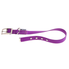 EVOLUTION CF25/53COLLAR PURPLE