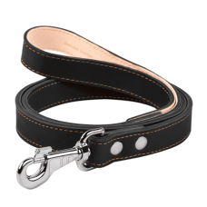 COLLAR Повідець подвійний з прошивкою (ширина 25 мм, довжина 120 см)