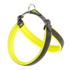 AGILA ERGOFLUO 5HARNESS YELLOW