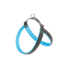 AGILA FLUO 6  BLUE Шлея, нейлон