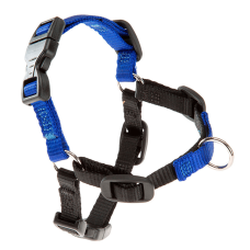 COACH P S-M HARNESS BLUE Шлейка для дрессировки